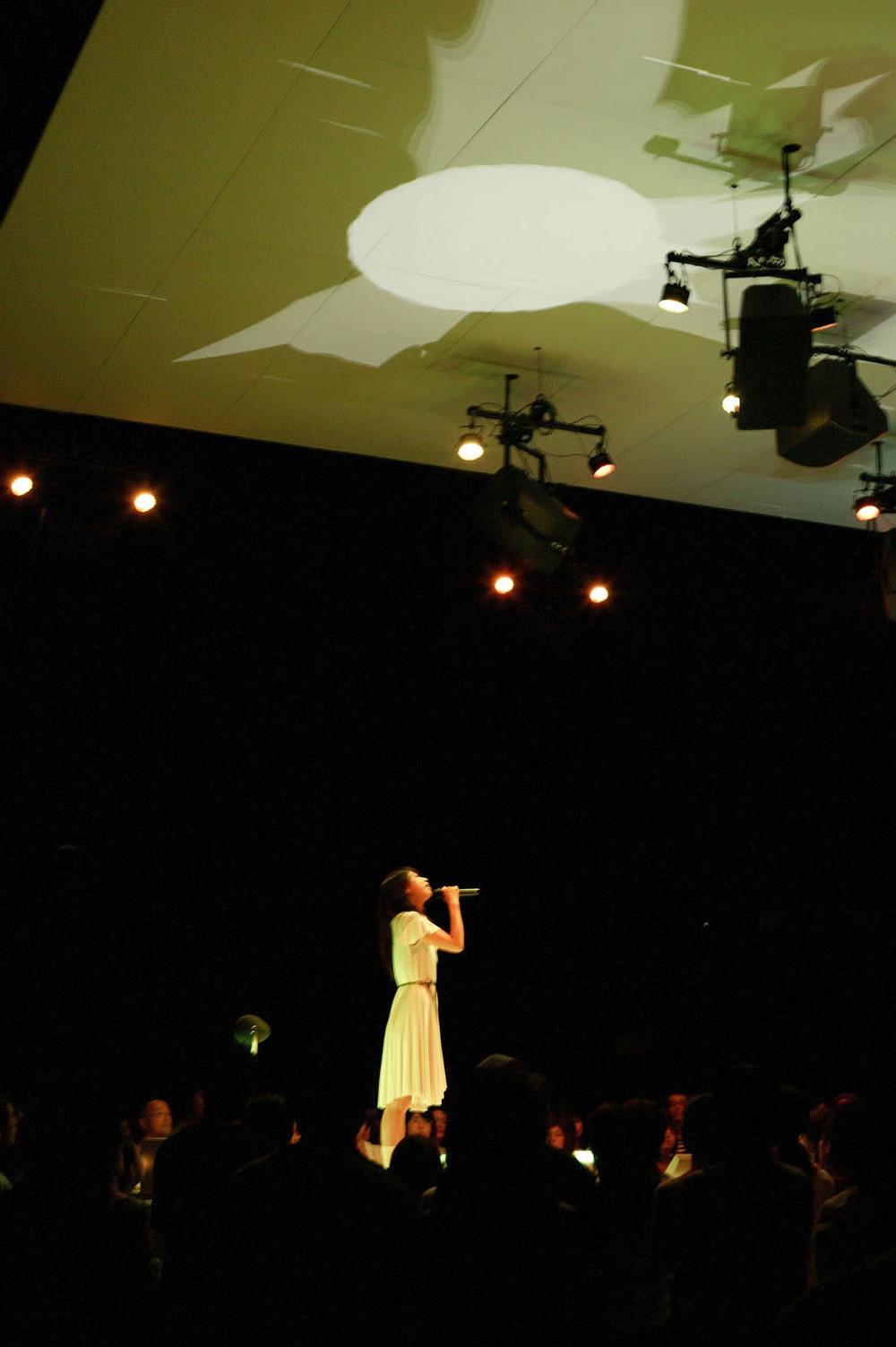 path_109.jpg