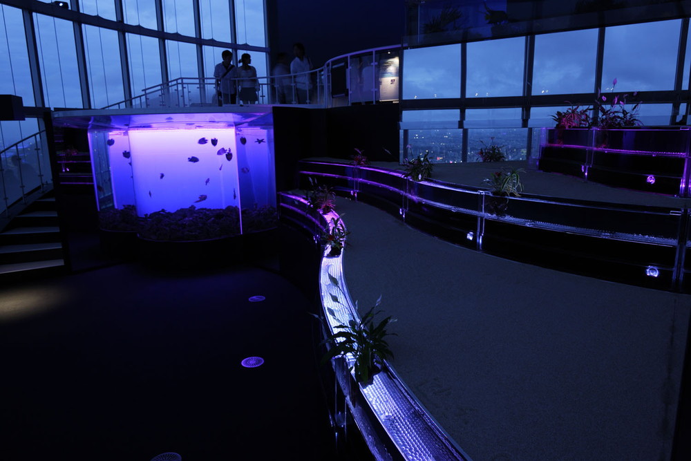 sky09_03.jpg