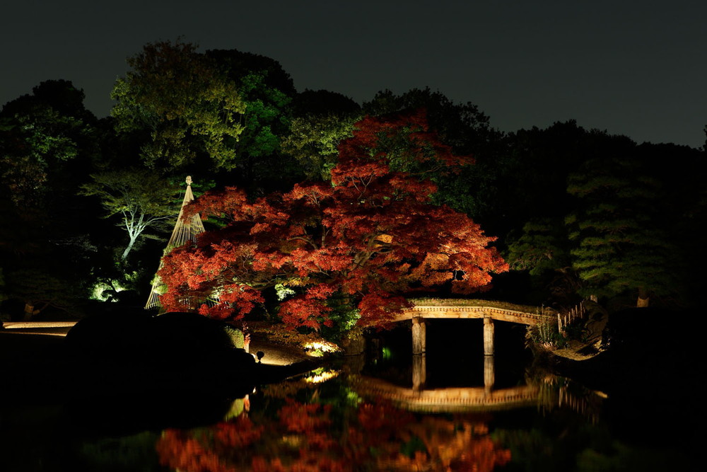 rikugien-autumn_03.jpg