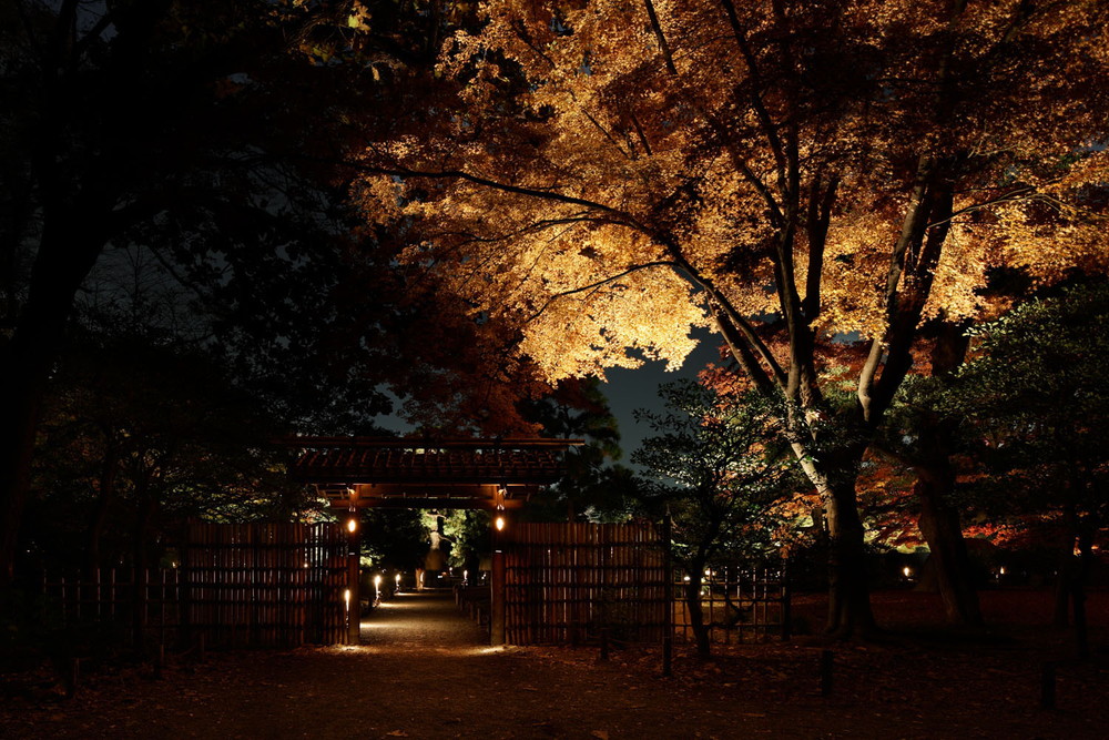 rikugien-autumn_04.jpg