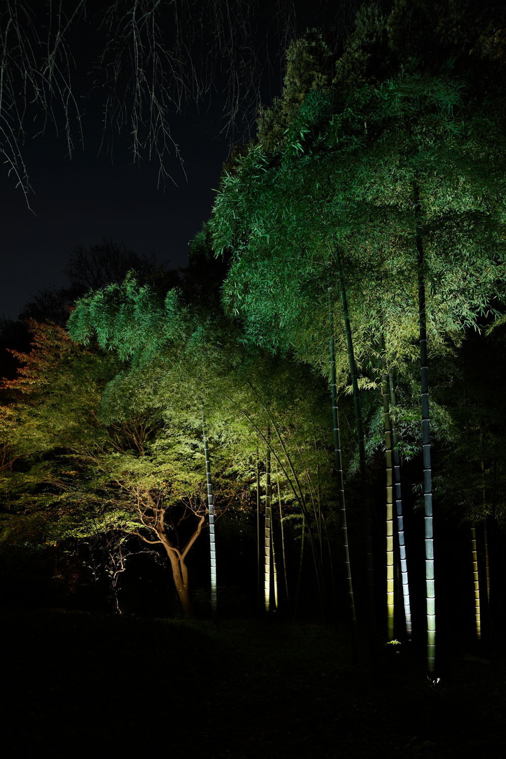 rikugien-autumn_05.jpg
