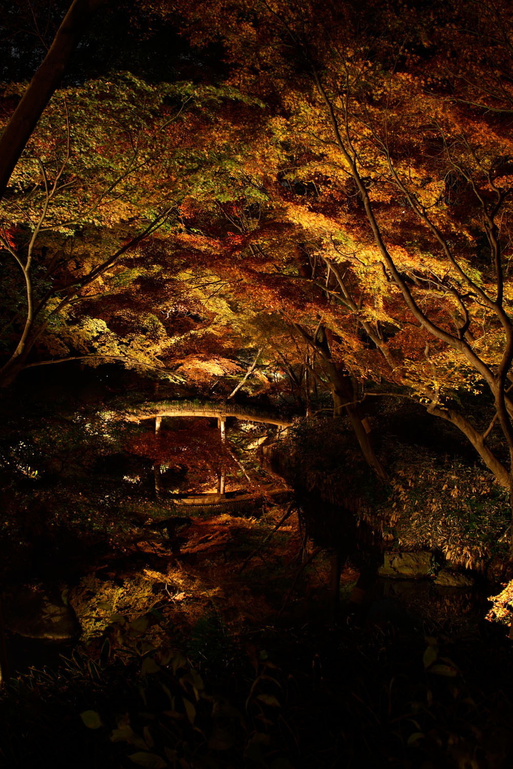 rikugien-autumn_06.jpg