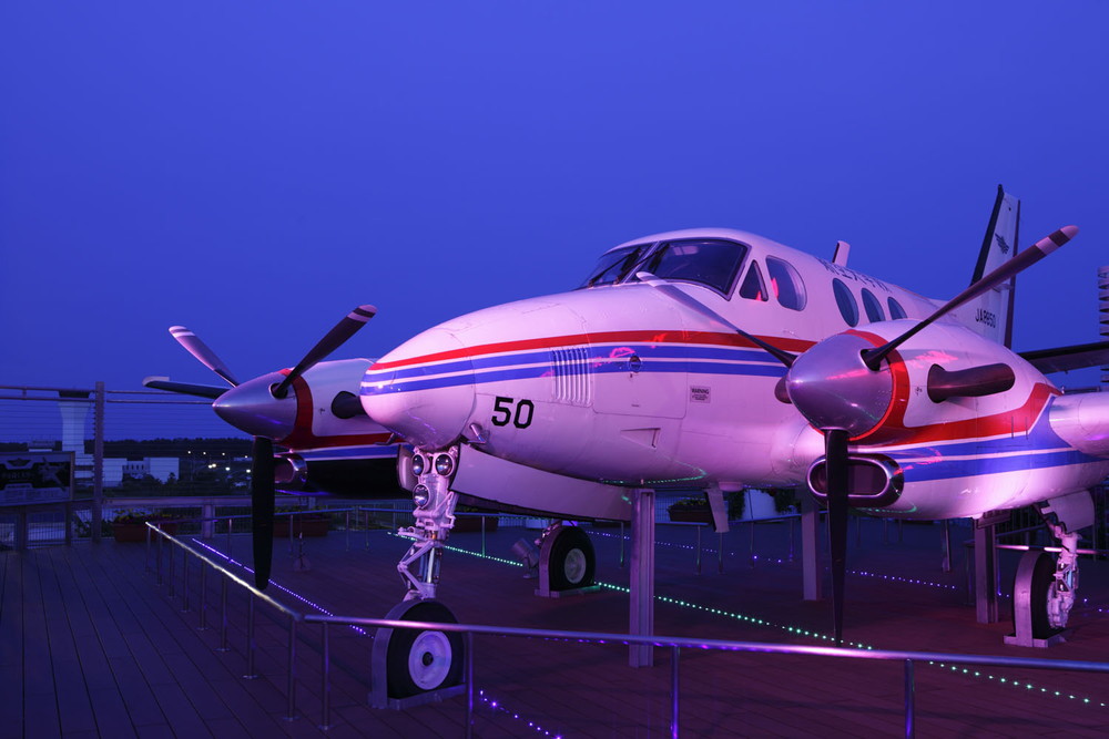 miyazaki_airport_010.jpg