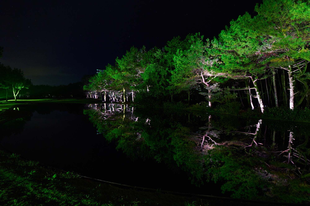 seagaia_0059.jpg