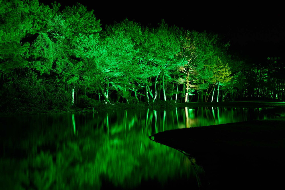 seagaia_0071.jpg
