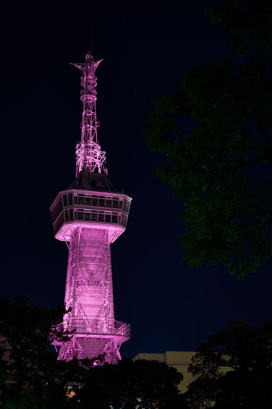 bepputower_nacasa_017.jpg
