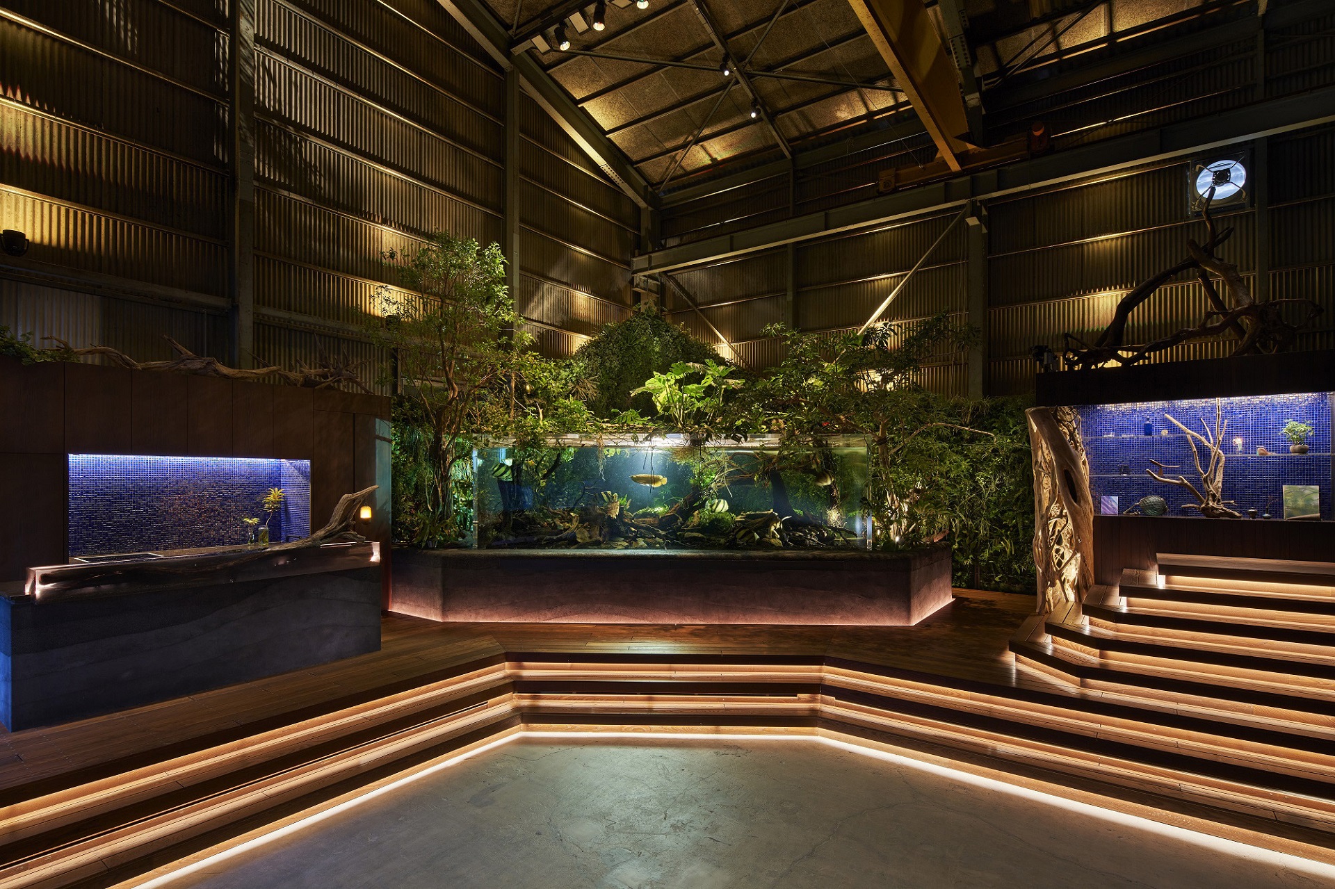 aquariumpark_toreal_1033.jpg