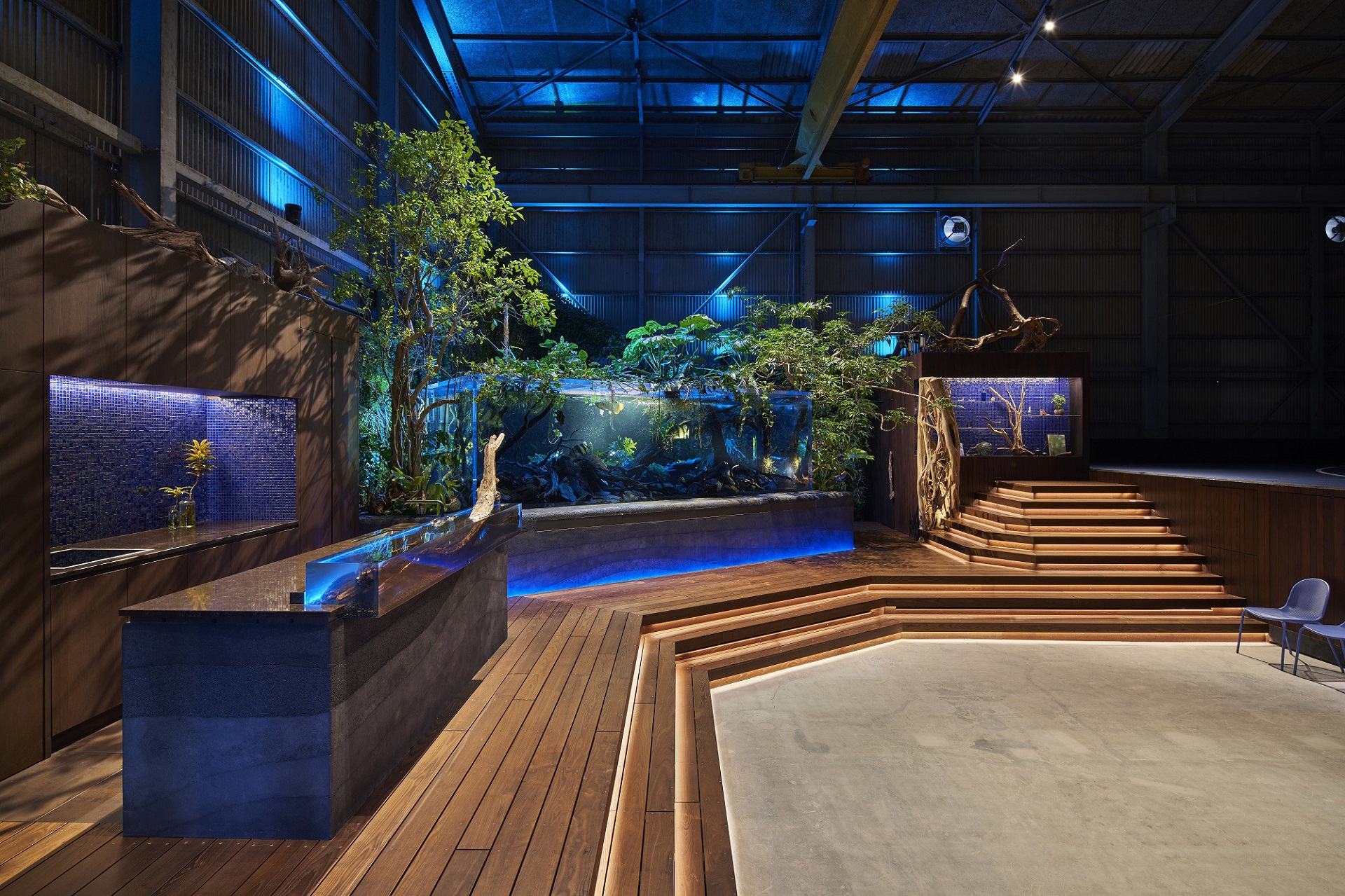aquariumpark_toreal_1145.jpg