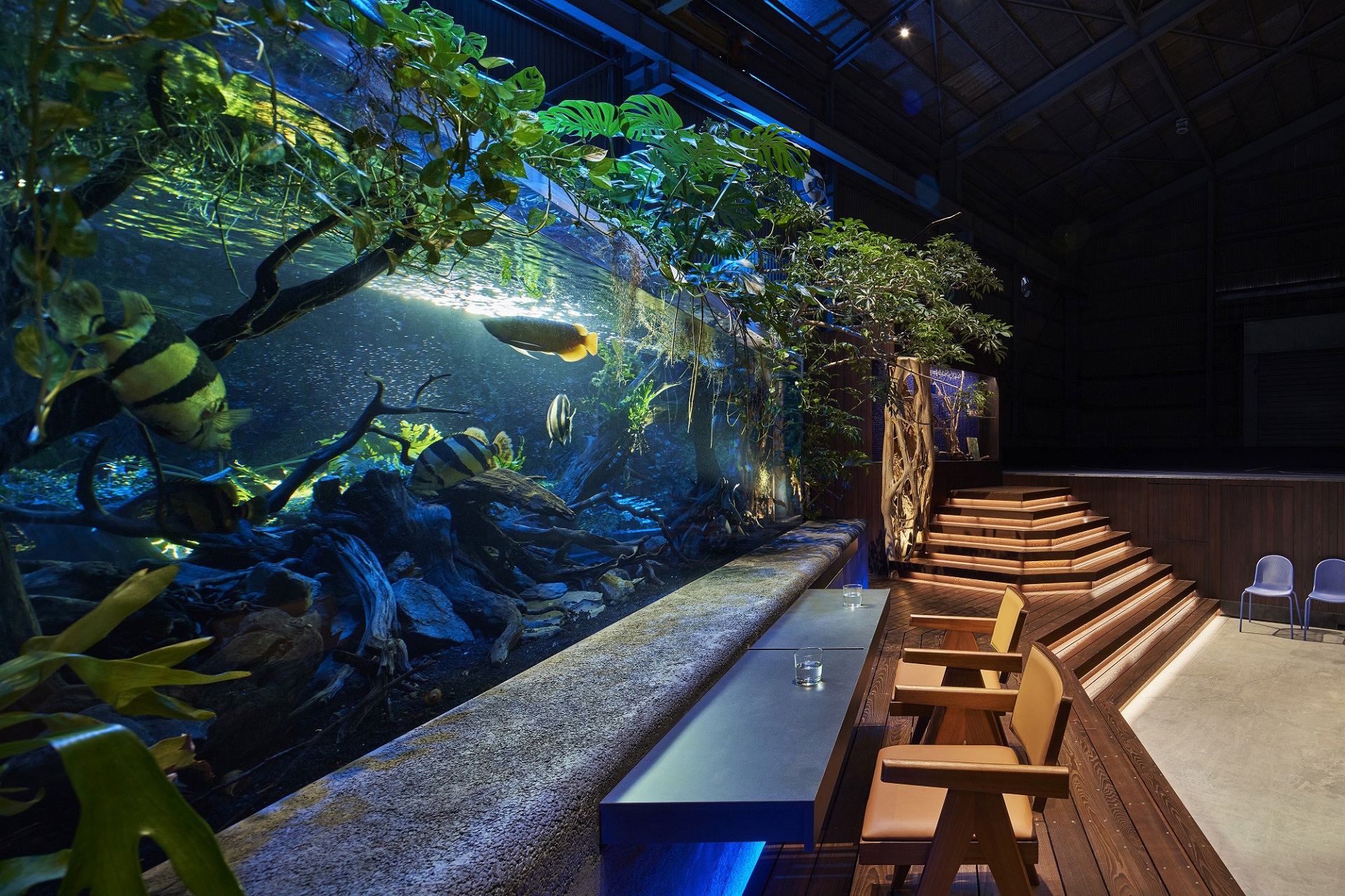 aquariumpark_toreal_1203.jpg