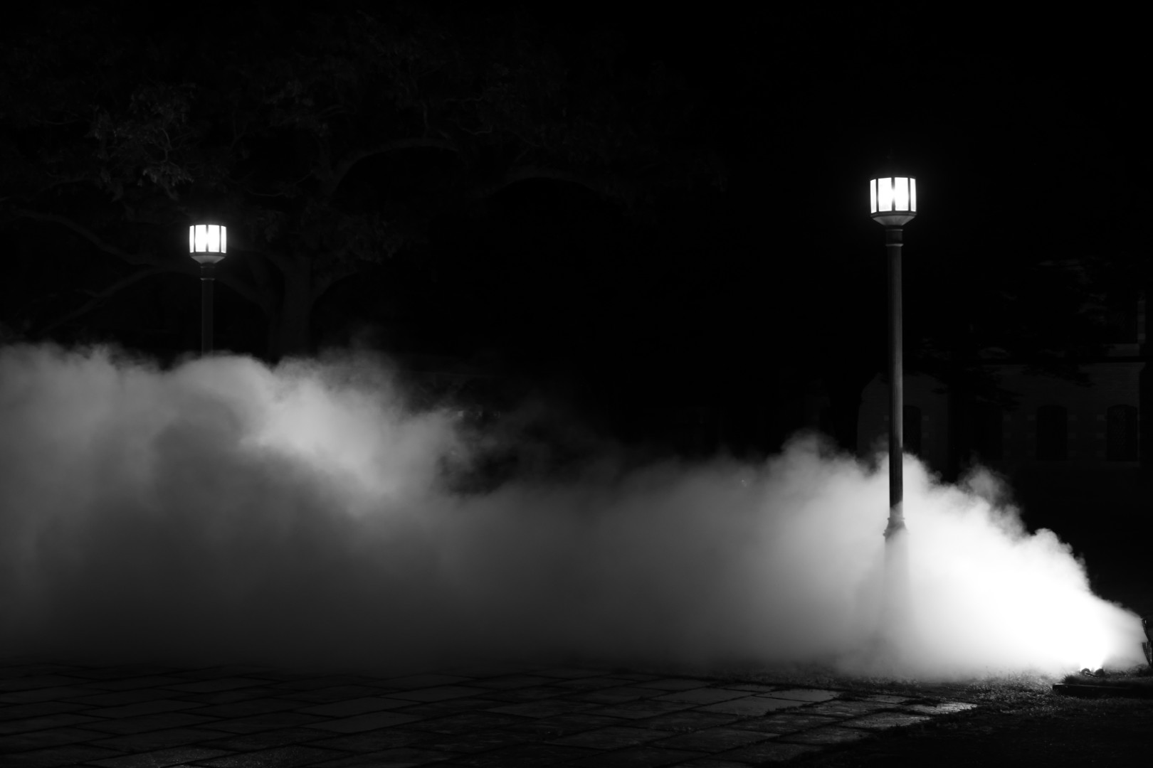 fog-himeji_0806_Nacasa.jpg